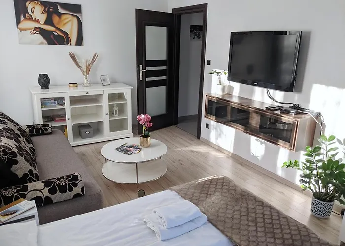 Rynek 40m2 Stare Breslavia